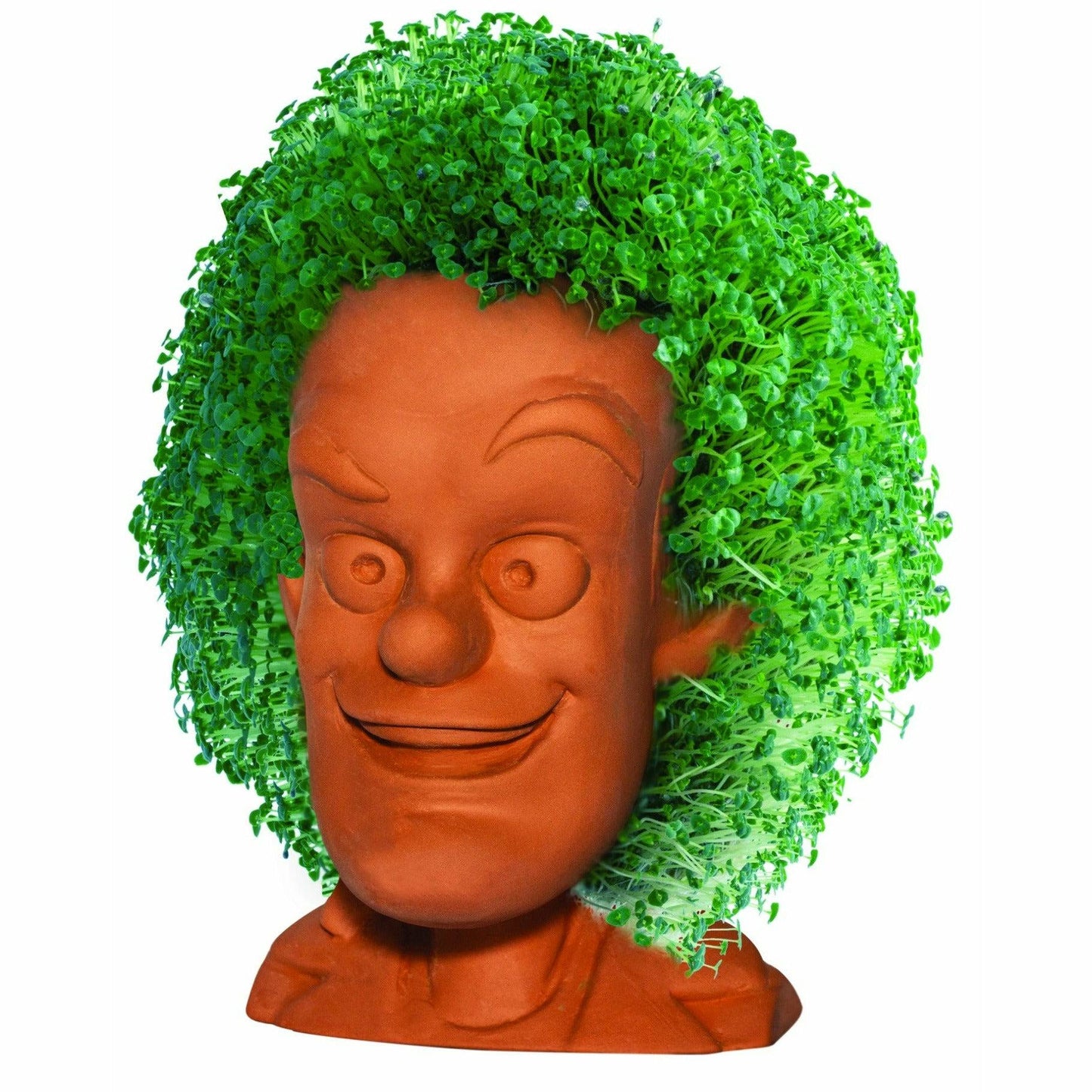 Back to the Future - The Animated Series: Doc Brown Chia Pet Desk Toy Joseph Enterprises